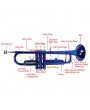 [US-W]Brass B Flat Trumpet Gloves Set Blue