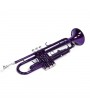 [US-W]Brass B Flat Trumpet Violet