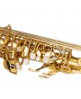 [US-W]Stylish Mid-range Alto Drop E Lacquered Golden Saxophone Painted Golden Tube with Carve Patterns